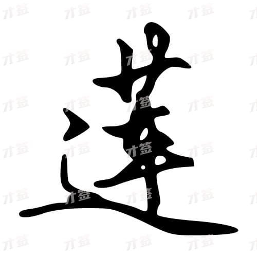 莲