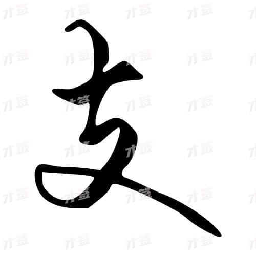 支